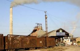 Los agroazucareros villaclareños despiden el 2022 con el plan de azúcar de la zafra chica Los agroazucareros villaclareños despiden el 2022 con el plan de azúcar de la zafra chica