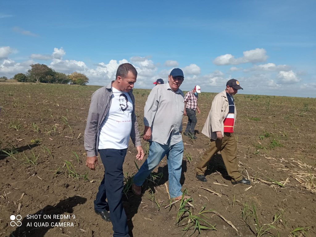 Visita efectuada por el equipo de trabajo del Grupo Azucarero #Azcuba al chequeo de las inversiones de riego por goteo del municipio de Cueto.