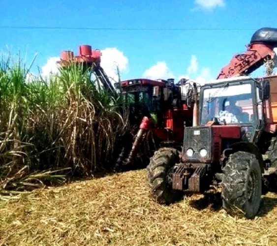 Azucareros de Holguín con fuerzas renovadas en el 2023 Azucareros de Holguín con fuerzas renovadas en el 2023