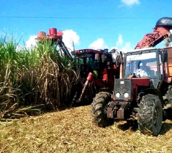 Azucareros de Holguín con fuerzas renovadas en el 2023