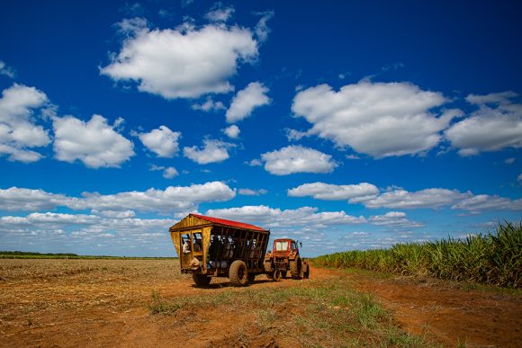 La agroindustria azucarera y los macheteros.