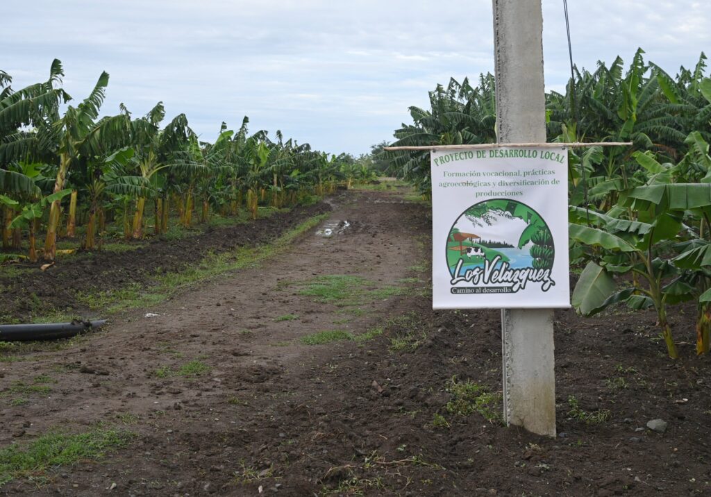 Finca agroecológica de la familia Velázquez en Majibacoa vinculada a las producciones azucareras.